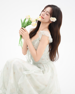Load image into Gallery viewer, Roselle Ruffle Waist Dress
